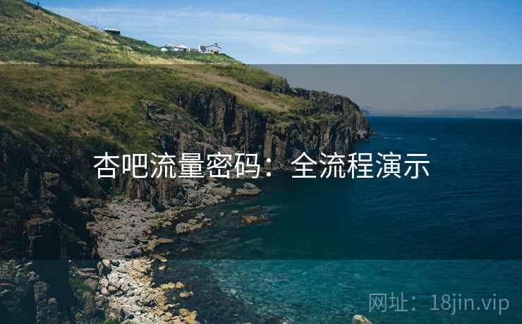杏吧流量密码：全流程演示