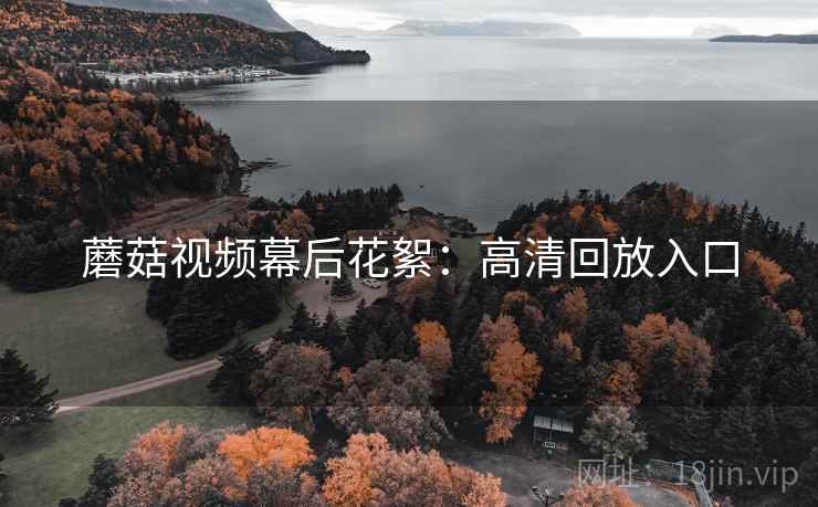 蘑菇视频幕后花絮：高清回放入口